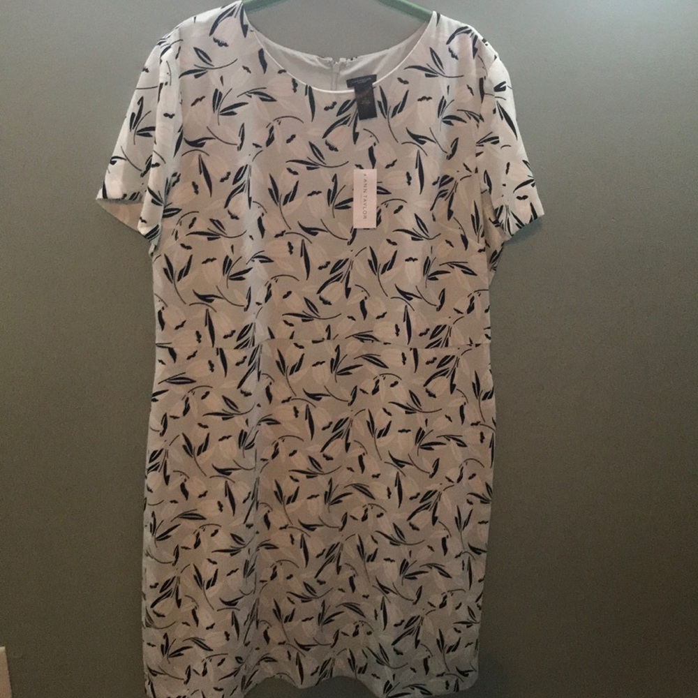 Ann Taylor short sleeve dress